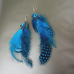 Blue feather